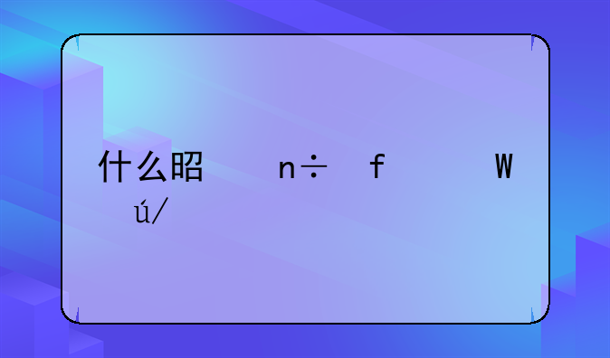什么是国际法律师