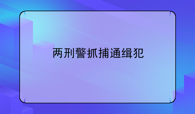 两刑警抓捕通缉犯