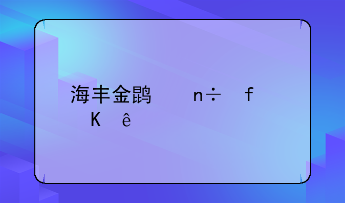 海丰金鹏国际酒店