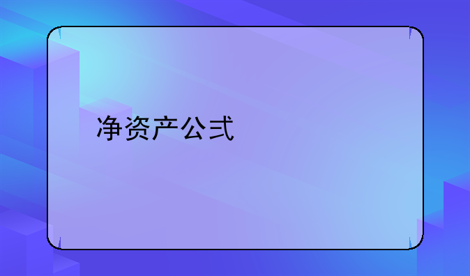 净资产公式详解
