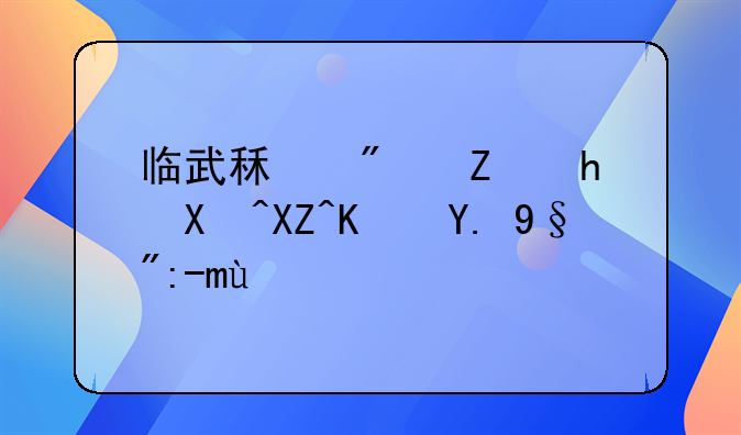 临武租房子拎包入住一月起租
