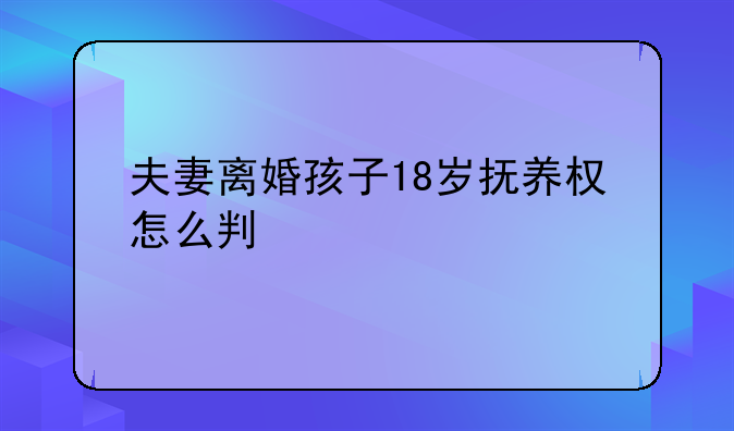夫妻离婚孩子18岁抚养权怎么判