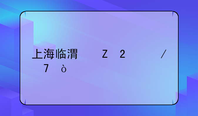 上海临港新区介绍？