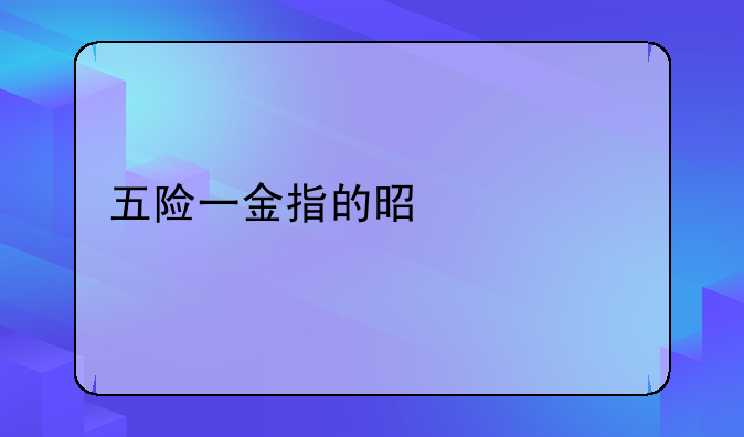 五险一金指的是什么