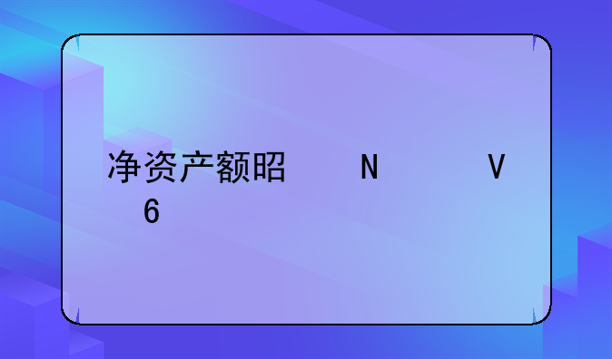 净资产额是哪个数据