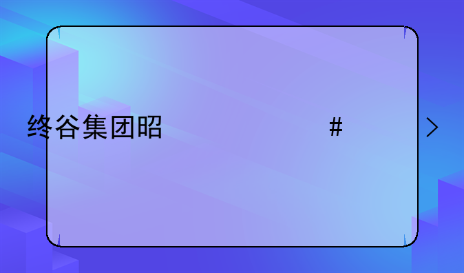 终谷集团是什么平台
