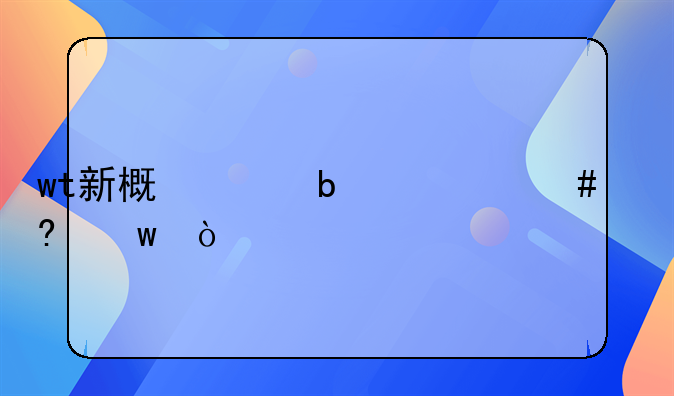 wt新概念是什么意思？