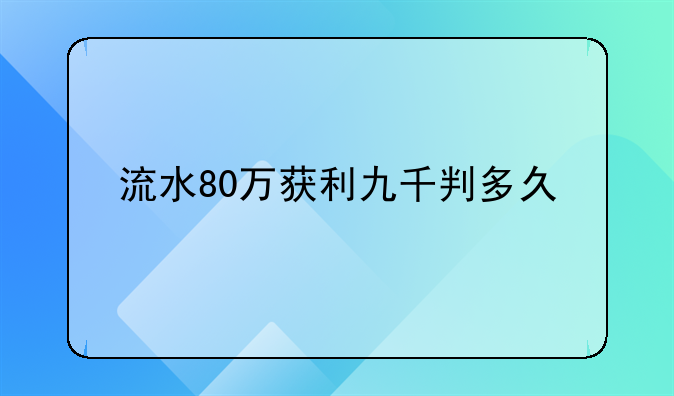 流水80万获利九千判多久