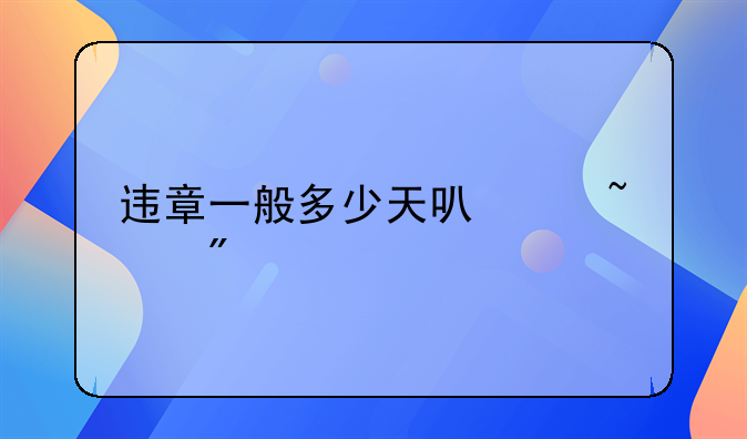 违章一般多少天可以查到