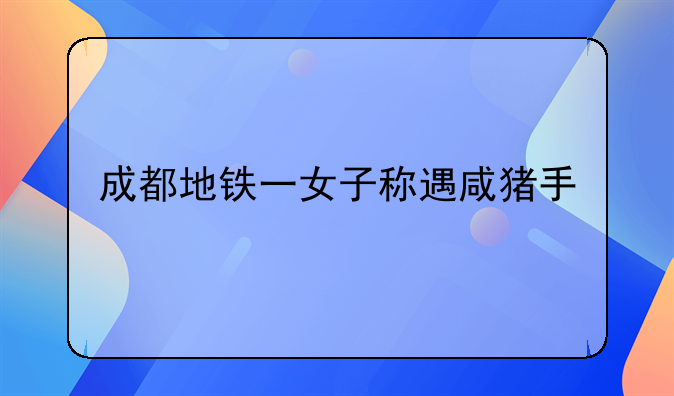 成都地铁一女子称遇咸猪手