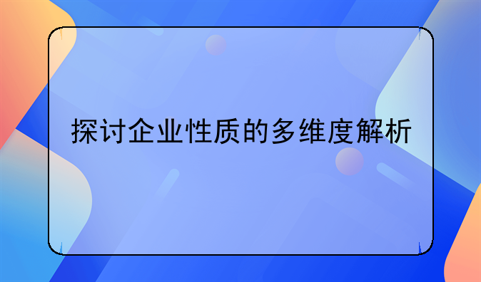 探讨企业性质的多维度解析