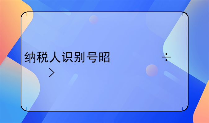 纳税人识别号是身份证号码