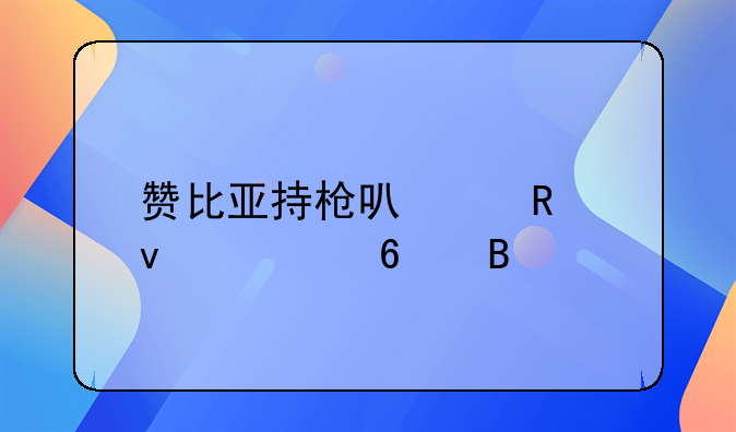 赞比亚持枪可以用来自卫吗