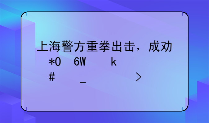上海警方重拳出击，成功抓捕多家诈骗公司