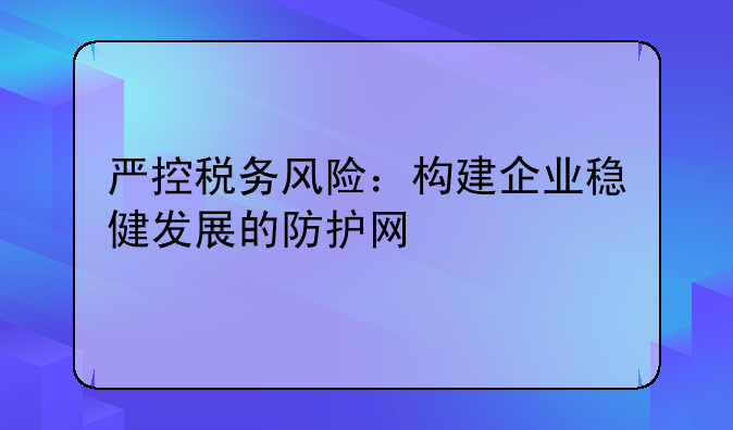 严控税务风险：构建企业稳健发展的防护网