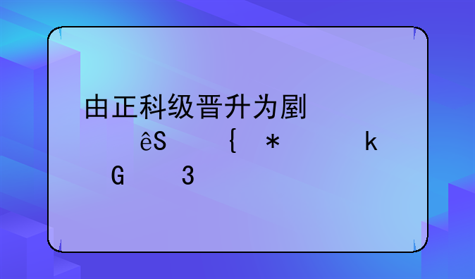由正科级晋升为副处级应增加多少职级工资