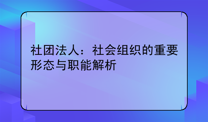 社团法人：社会组织的重要形态与职能解析