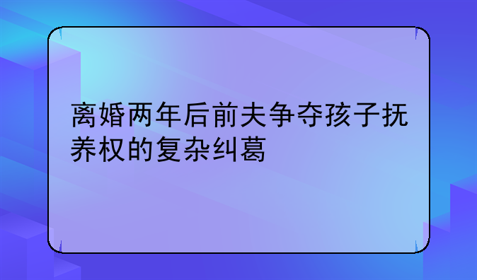 离婚两年后前夫争夺孩子抚养权的复杂纠葛