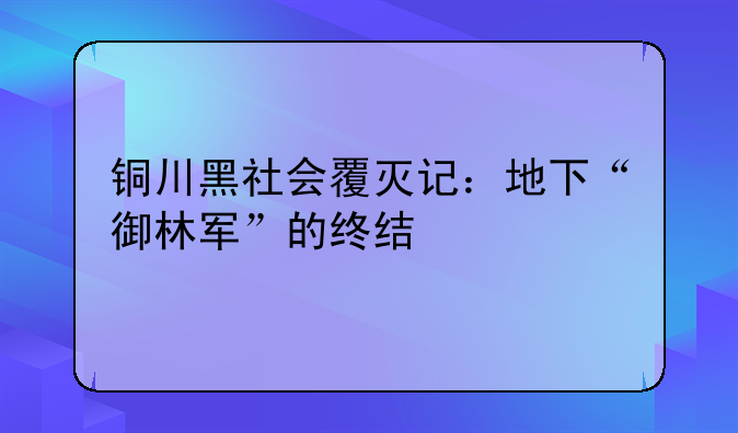 铜川黑社会覆灭记：地下“御林军”的终结