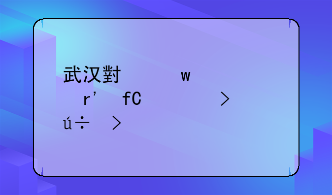 武汉小额贷款有限公司(徽号dk8dk2)
