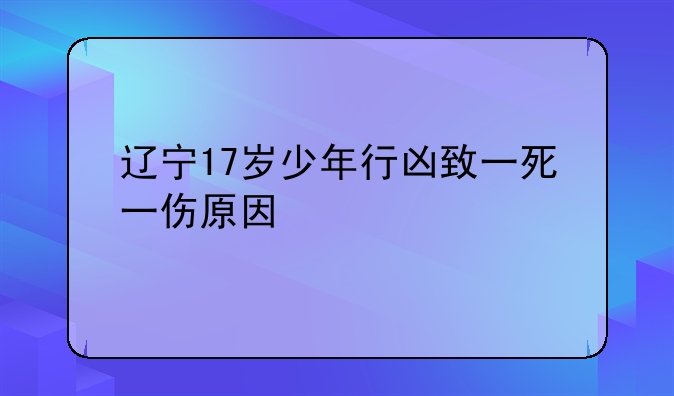 辽宁17岁少年行凶致一死一伤原因