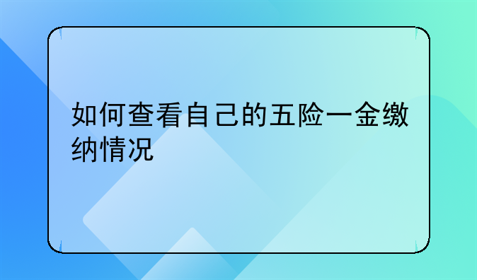 如何查看自己的五险一金缴纳情况