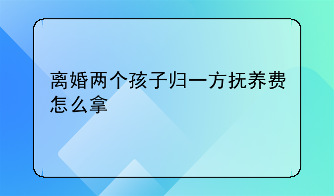 离婚两个孩子归一方抚养费怎么拿