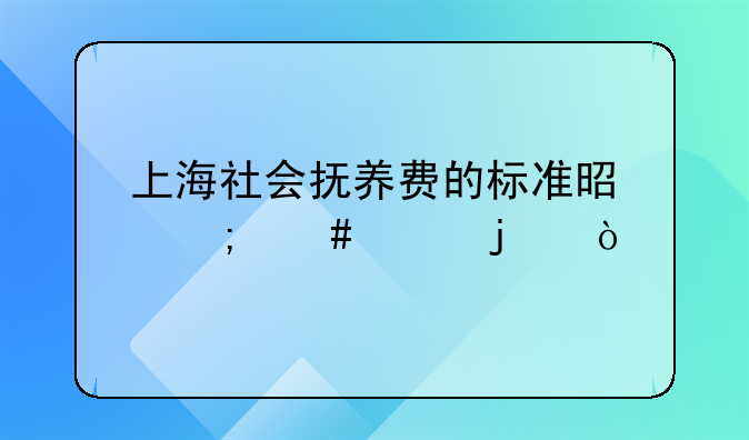 上海社会抚养费的标准是怎么样的？