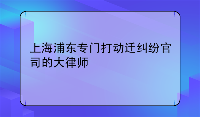 上海浦东专门打动迁纠纷官司的大律师
