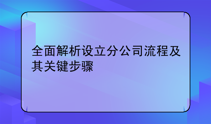 全面解析设立分公司流程及其关键步骤