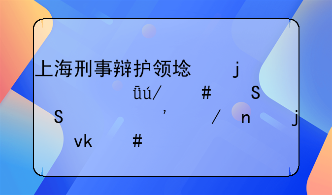 上海刑事辩护领域的资深律师——正义之盾的坚守者