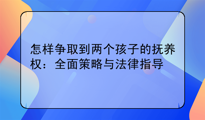怎样争取到两个孩子的抚养权：全面策略与法律指导