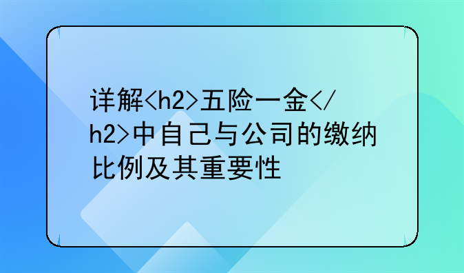 详解<h2>五险一金</h2>中自己与公司的缴纳比例及其重要性