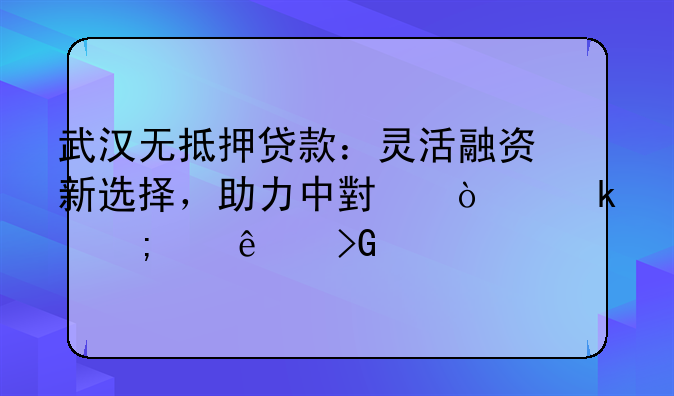 武汉无抵押贷款：灵活融资新选择，助力中小企业与个人发展