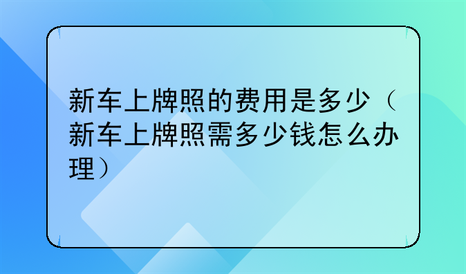 新车上牌照的费用是多少（新车上牌照需多少钱怎么办理）