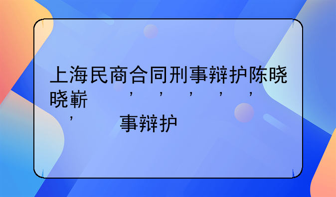 上海民商合同刑事辩护陈晓晓律师、上海民事律师金牌排名