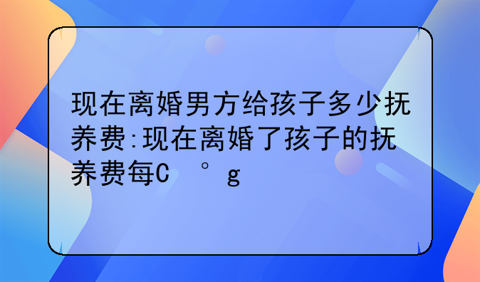 现在离婚男方给孩子多少抚养费:现在离婚了孩子的抚养费每月给多少